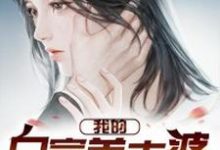 我的白富美老婆这本小说完结了吗？免费查看最新章节-经典文学