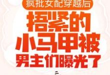 疯批女配穿越后，捂紧的小马甲被男主们曝光了主角 池奚宁齐皓小说完结版章节在线阅读-经典文学