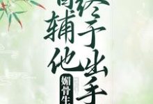 免费在线阅读媚骨生香:首辅他终于出手了小说的正规网站有哪些?-经典文学