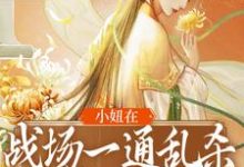 在线寻找小妞在战场一通乱杀,只为混口饭?小说的无删减版本-经典文学