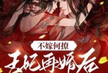 求不嫁何撩，王妃再婚后被宠上天小说免费资源-经典文学