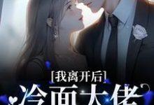 南浅陆北墨为主角的小说好看吗？免费读我离开后，冷面大佬红了眼眶-经典文学