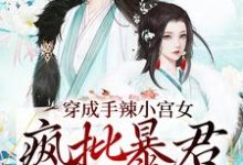 穿成手辣小宫女，疯批暴君抱着宠小说有没有完整的免费版本在线阅读？-经典文学