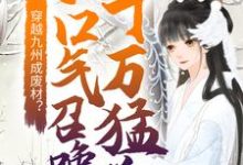 主人公云凰夜临渊小说穿越九州成废材？她一口气召唤十万猛兽在线章节阅读-经典文学