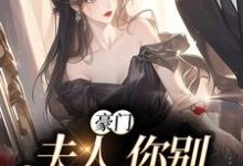 苏烟秦时砚小说在线章节免费阅读(豪门:夫人,你别丢下我无弹窗无删减)-经典文学