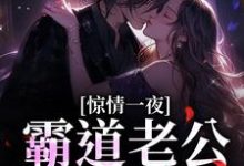《惊情一夜:霸道老公的逃妻》全集免费在线阅读(祁巧巧)-经典文学