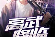高武降临（林枫李月婵）在线免费阅读-经典文学