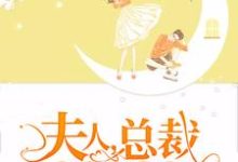 夫人,总裁闹着要二胎林晚晚陆重渊在线章节免费阅读-经典文学