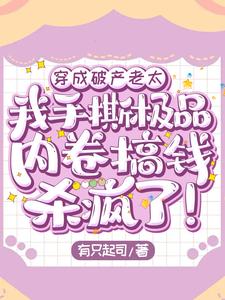 穿成破产老太，我手撕极品内卷搞钱杀疯了！小说的无弹窗阅读体验，寻找免费阅读网站
