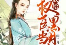 求重生之我给权臣当黑月光小说免费资源-经典文学