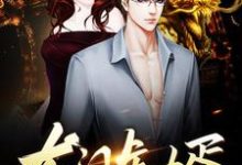 免费看龙门虎婿小说的网站有哪些?-经典文学