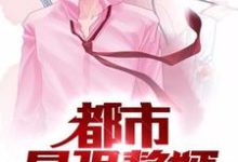 已完结小说《都市最强赘婿》章节在线阅读-经典文学