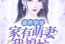 盛世挚宠：家有萌妻我很忙这本小说在哪里可以看？哪里有免费试读章节？-经典文学