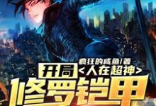 林昊天使冷小说叫什么(人在超神:开局修罗铠甲穿梭万界免费阅读)-经典文学