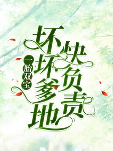 一胎双宝：坏坏爹地快负责小说的无弹窗阅读体验，寻找免费阅读网站