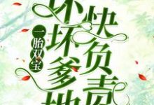 主角南宫丞沈茉染小说完结版在线阅读,一胎双宝:坏坏爹地快负责免费看-经典文学