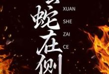白汀月柳妄之的故事在哪本书里？免费阅读玄蛇在侧-经典文学