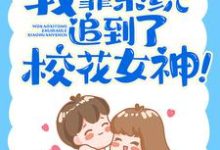 我靠系统追到了校花女神！小说最新更新在哪里？免费在线看-经典文学
