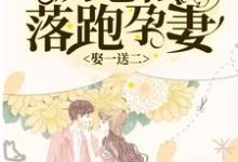 小说《娶一送二，厉总的落跑孕妻》章节阅读-经典文学