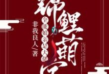 已完结小说《锦鲤萌宝：全能娘亲是大佬》在线章节阅读-经典文学