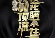 求隐婚：我和顶流校花瞒不住了小说免费资源-经典文学