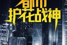 都市护花战神叶真林清音小说免费阅读-经典文学