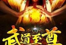 武道至尊小说无弹窗阅读的网站推荐-经典文学