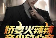 娇妻火辣辣：帝少放心宠小说，娇妻火辣辣：帝少放心宠楚宇轩赵雅楠-经典文学
