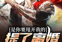 《是你要甩开我的，提了离婚你哭啥？》小说大结局免费试读 许晴陈飞扬小说-经典文学
