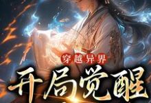 叶无双的小说在哪里看？免费在线阅读穿越异界，开局觉醒地阶灵脉-经典文学