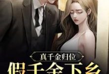 沈雪宁秦子洲为主角的小说好看吗？免费读真千金归位，假千金下乡暴富了-经典文学