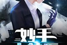 免费看妙手小神医小说的网站有哪些？-经典文学