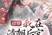 综穿：我在清朝后宫当娘娘小说全文阅读需要付费吗？寻找免费资源-经典文学