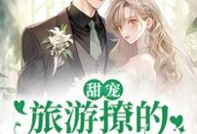 求甜宠：旅游撩的老板追来了！小说的全文免费阅读链接-经典文学