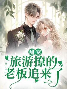 求甜宠：旅游撩的老板追来了！小说的全文免费阅读链接