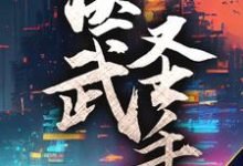 求医武圣手小说的全文免费阅读链接-经典文学