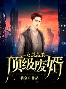 女总裁的顶级废婿小说，女总裁的顶级废婿林飞李婉