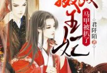 摄政王妃马甲被扒了主角魏安歌炎熠痕小说完结版章节在线阅读-经典文学