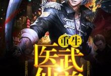 完结版《重生医武仙尊》免费阅读-经典文学