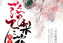 落尽梨花月又西最新章节，落尽梨花月又西章节在线阅读-经典文学