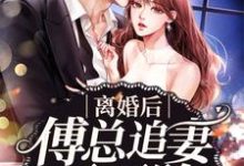 离婚后傅总追妻不要脸小说,离婚后傅总追妻不要脸免费阅读-经典文学
