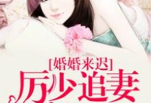 主角叫白依依上官厉小说婚婚来迟，厉少追妻路漫漫章节免费阅读-经典文学