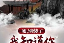 嘘，别装了，我知道你所有过往小说完结版章节免费阅读-经典文学