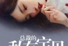 总裁的私有宝贝小说,总裁的私有宝贝免费阅读-经典文学