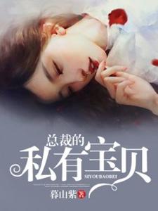 总裁的私有宝贝小说，总裁的私有宝贝免费阅读