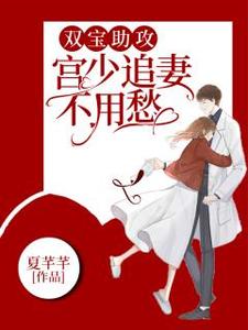 完结版《双宝助攻，宫少追妻不用愁》章节阅读