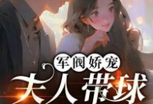 军阀娇宠：夫人带球跑路了！萧天琰沈涵小说在线章节目录阅读最新章节-经典文学