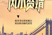 陆尘玲珑为主角的小说风水赘婿在线阅读-经典文学