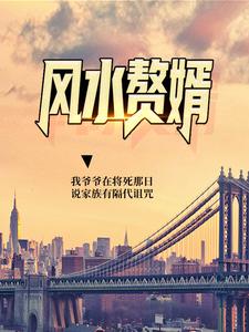 小说《风水赘婿》章节阅读