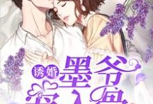 诱婚,墨爷宠入骨小说阅读,诱婚,墨爷宠入骨完结版-经典文学